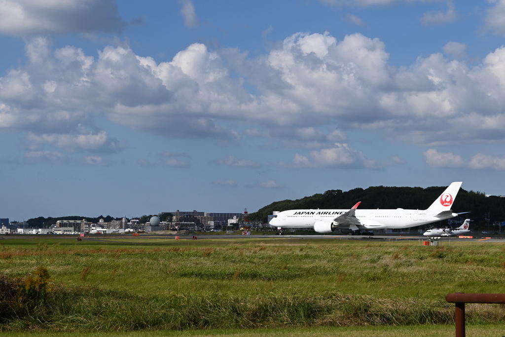 JAL1382