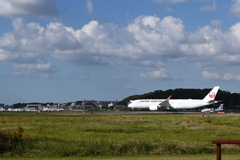 JAL1382