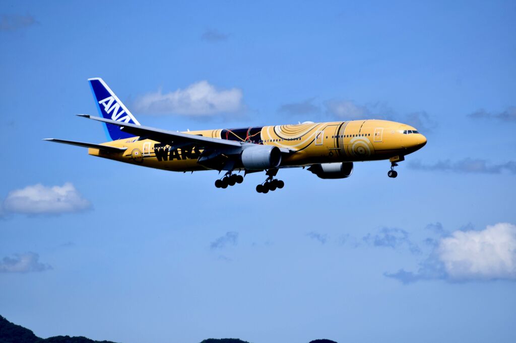 ANA 950