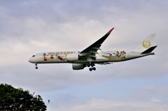 JAL 395