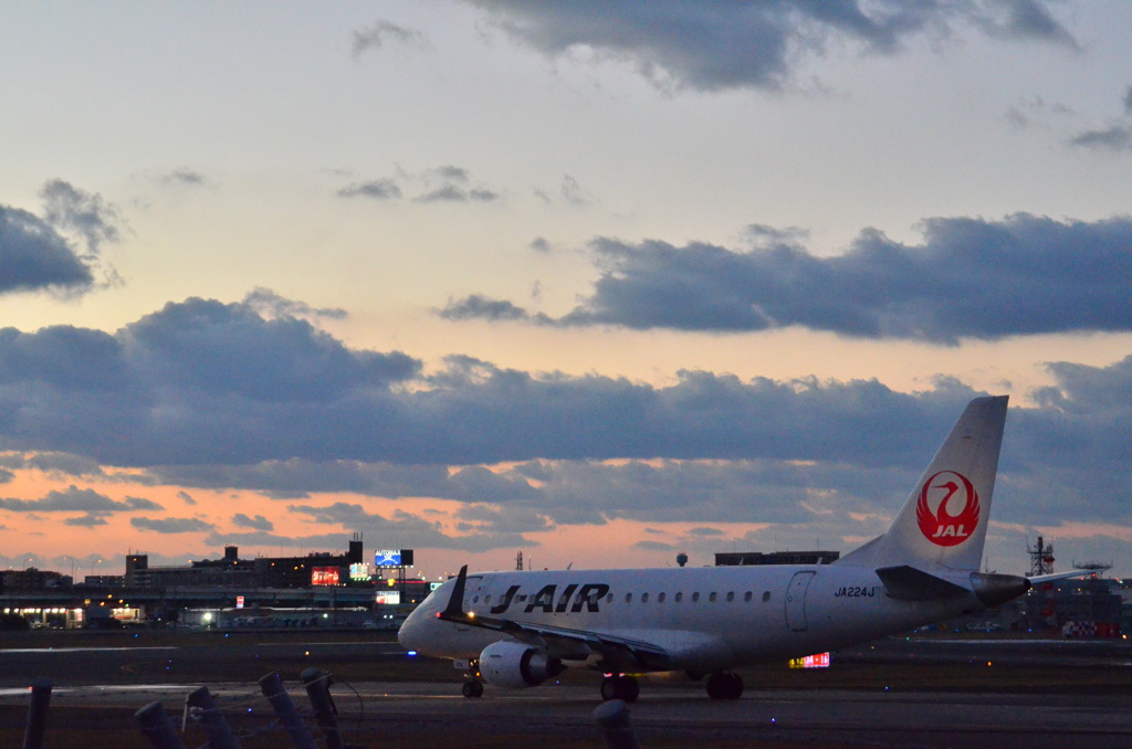 JAL 505