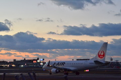 JAL 505