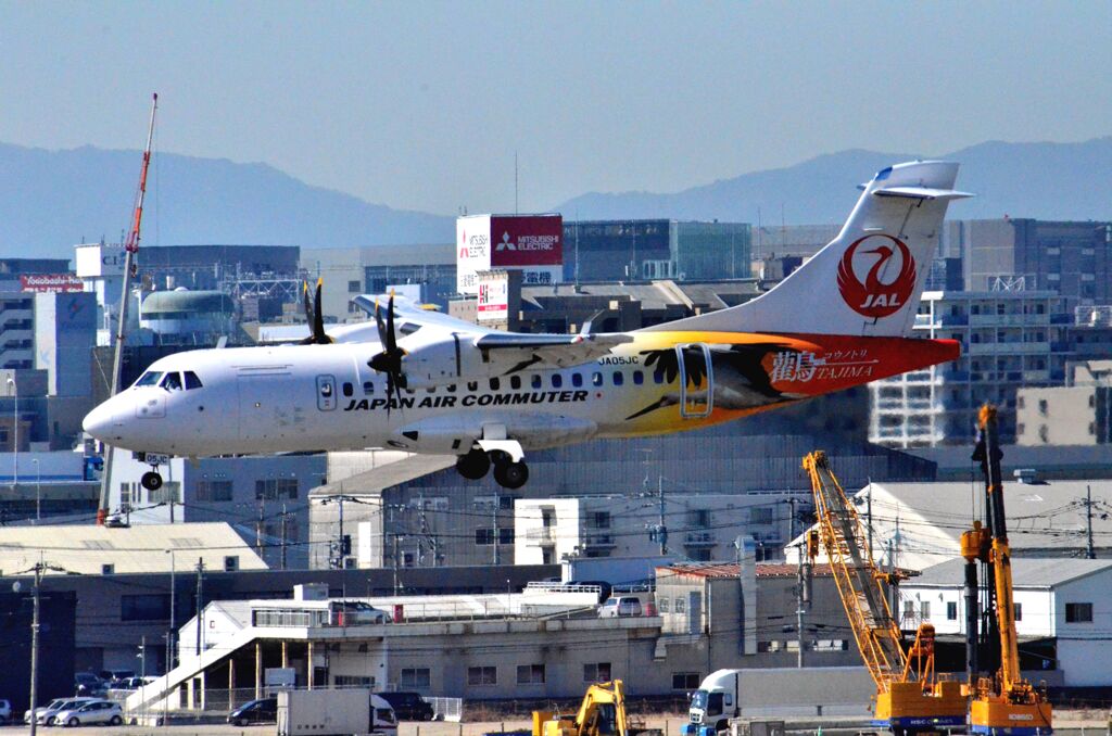 JAL 311