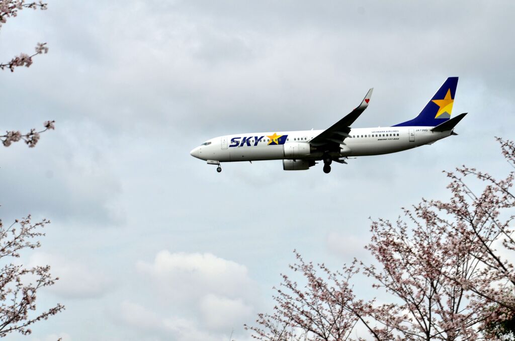 SKY 173