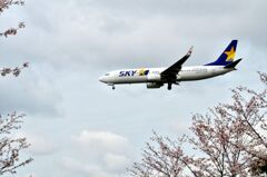 SKY 173