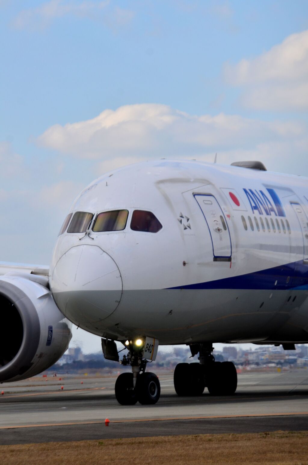 ANA 487