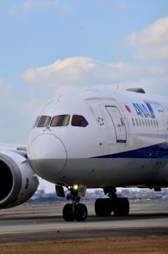 ANA 487