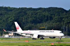 JAL 62