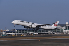 JAL 892