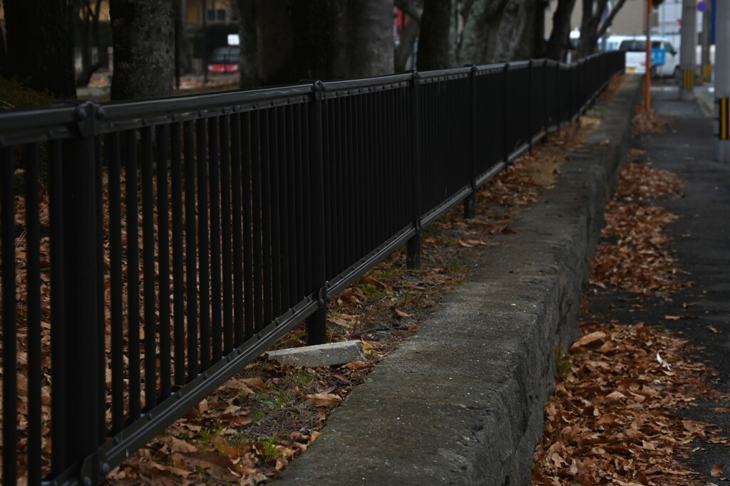 一歩・二歩・散歩（2025冬）08