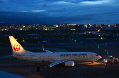 JAL 259