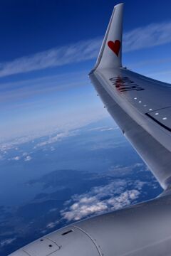 SKY 291