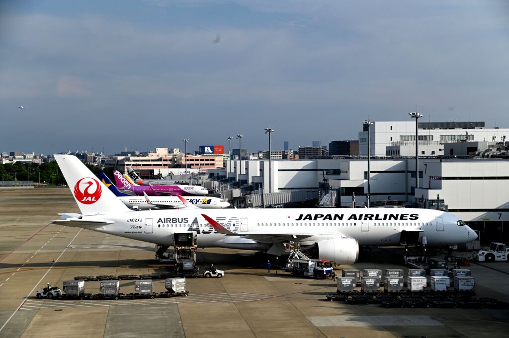 JAL 1325
