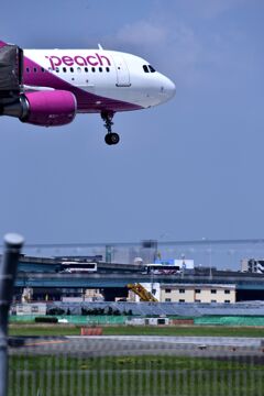 PEA 324