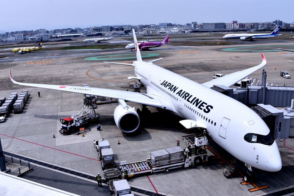 JAL 1128