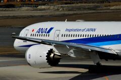 ANA 101