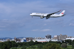 JAL 686