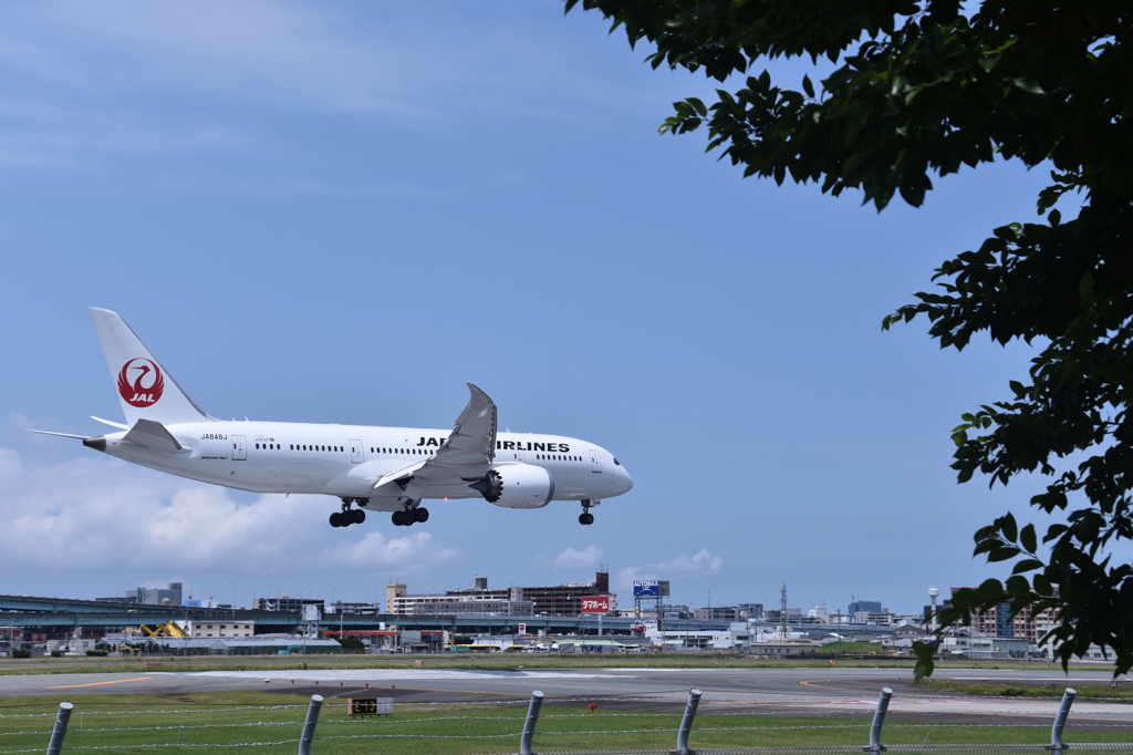 JAL 636