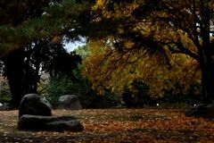 一歩・二歩・散歩(2025初冬)01