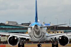 ANA 105