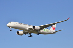 JAL JA03XJ