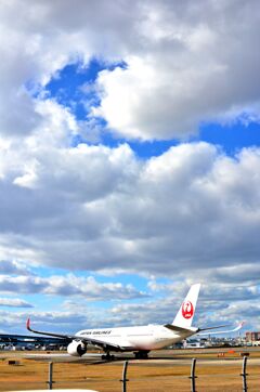 JAL 400