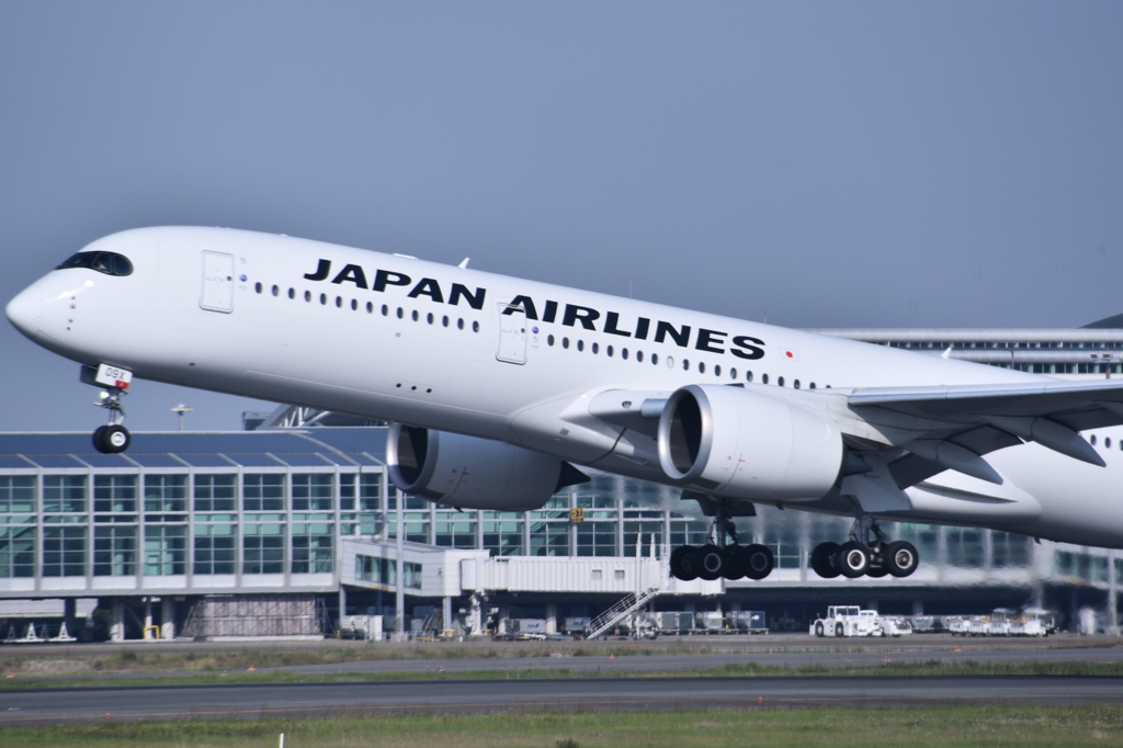 JAL 605