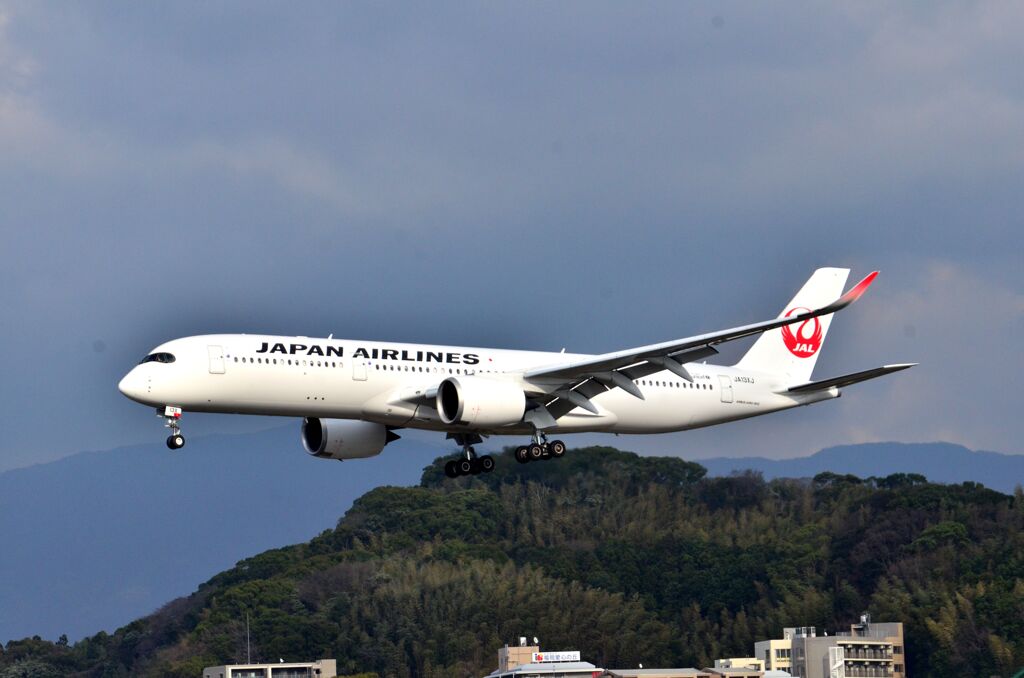 JAL565