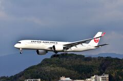 JAL565