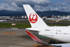 JAL 1222