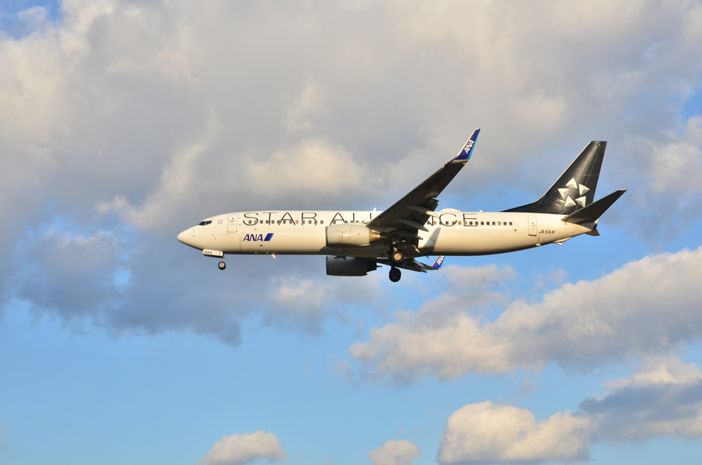 ANA 377