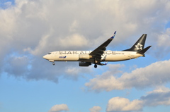 ANA 377