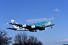 ANA 963