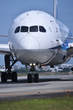 ANA 585