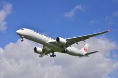 JAL 216