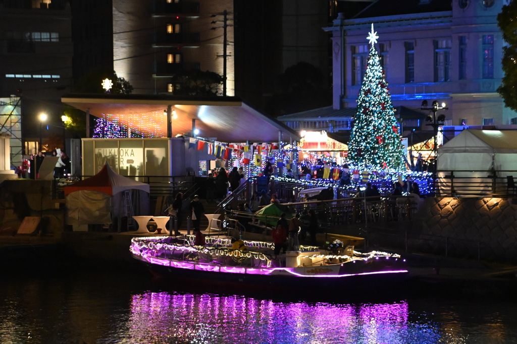 「イルミ2025」06