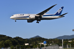 ANA 865