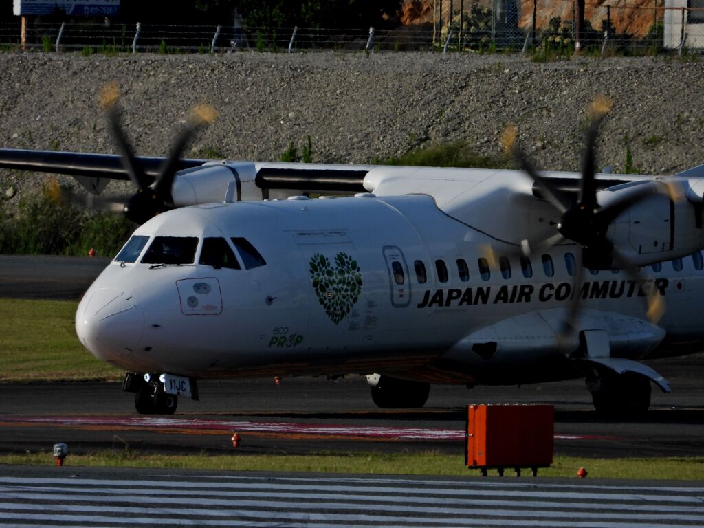 JAL 1310