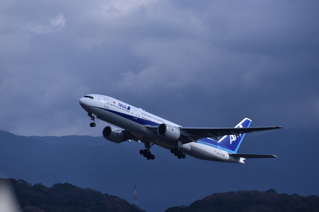 ANA 738