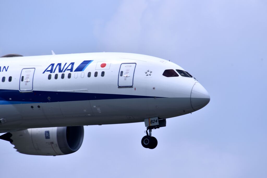 ANA 538
