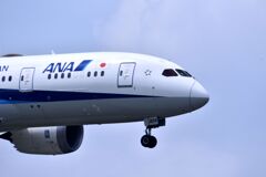 ANA 538