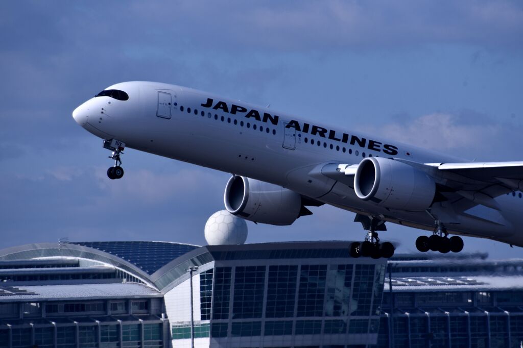 JAL 784