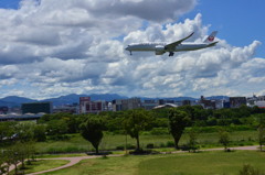 JAL 218