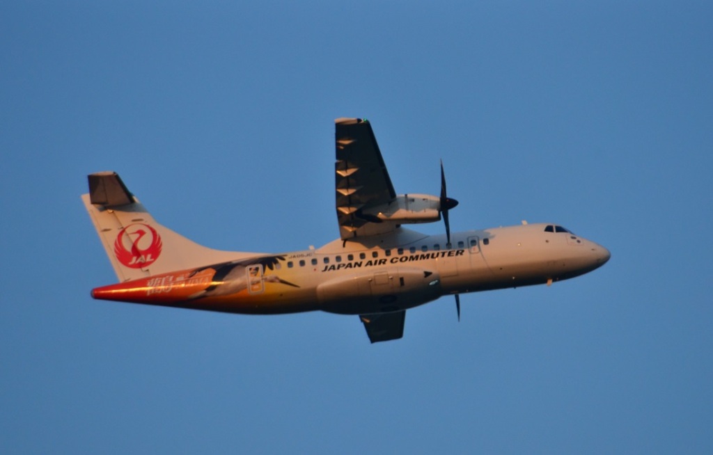 JAL 292