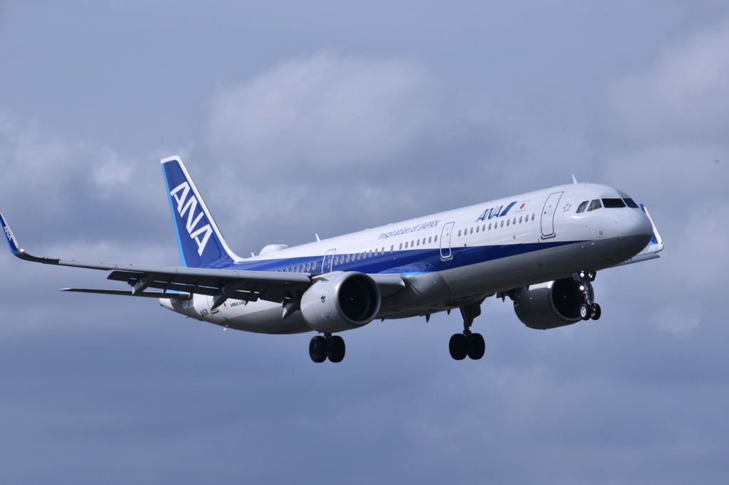 ANA 503
