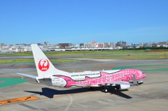 JAL 12
