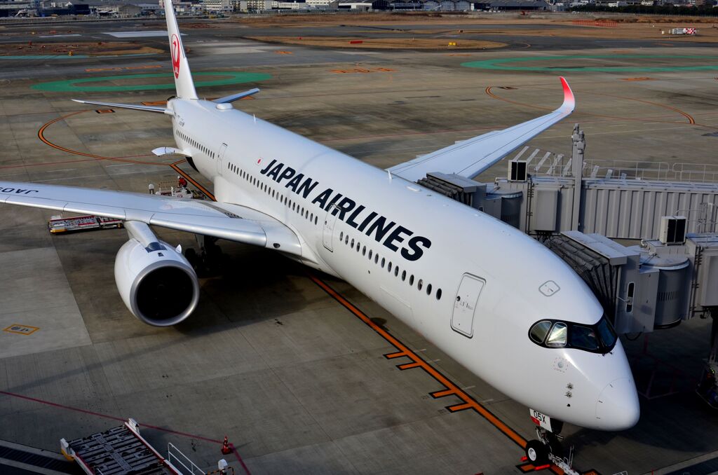 JAL 484
