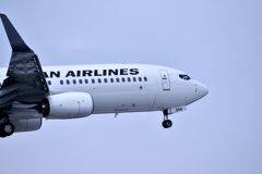 JAL 617