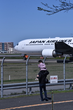 JAL 890