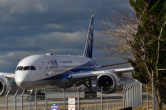 ANA 394